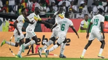 تردد قناة beIN SPORTS المفتوحة 2025.. تغطية حصرية للبطولات الرياضية